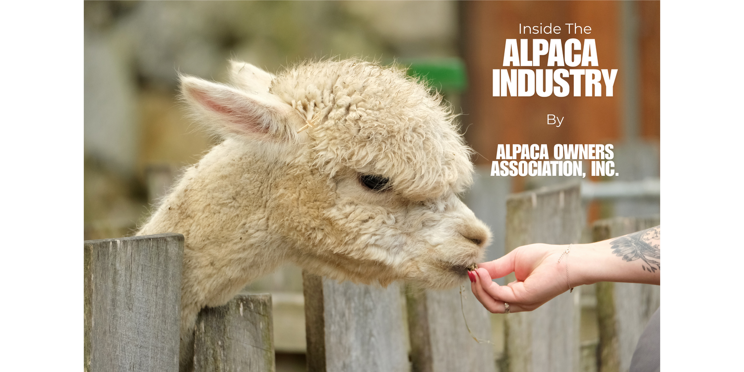 Alpaca being fed by a hand with 'Inside The Alpaca Industry' text and Alpaca Owners Association, Inc. branding.