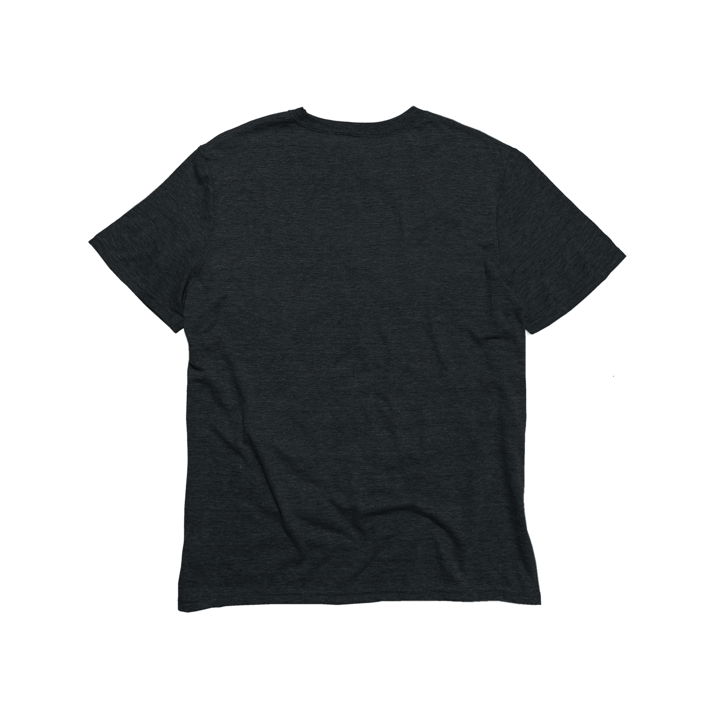 Unisex Eco-Triblend Tee (Core Colors)