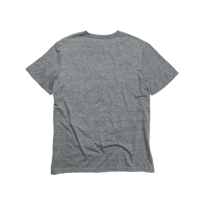 Unisex Eco-Triblend Tee (Core Colors)